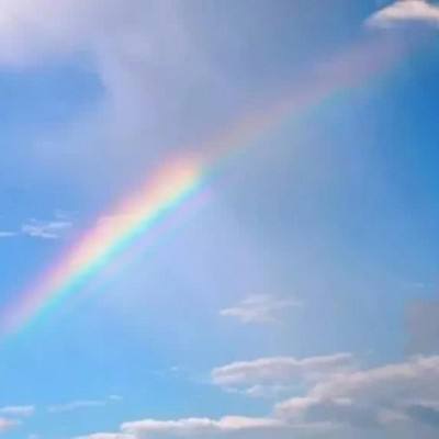 半岛官方网站入口下载截图